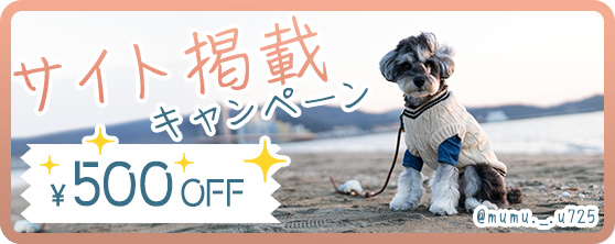 サイト掲載キャンペーン